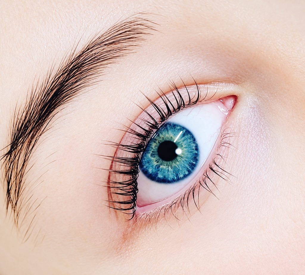 Natural lashes lifted, curled and tinted for a darker, defined look.